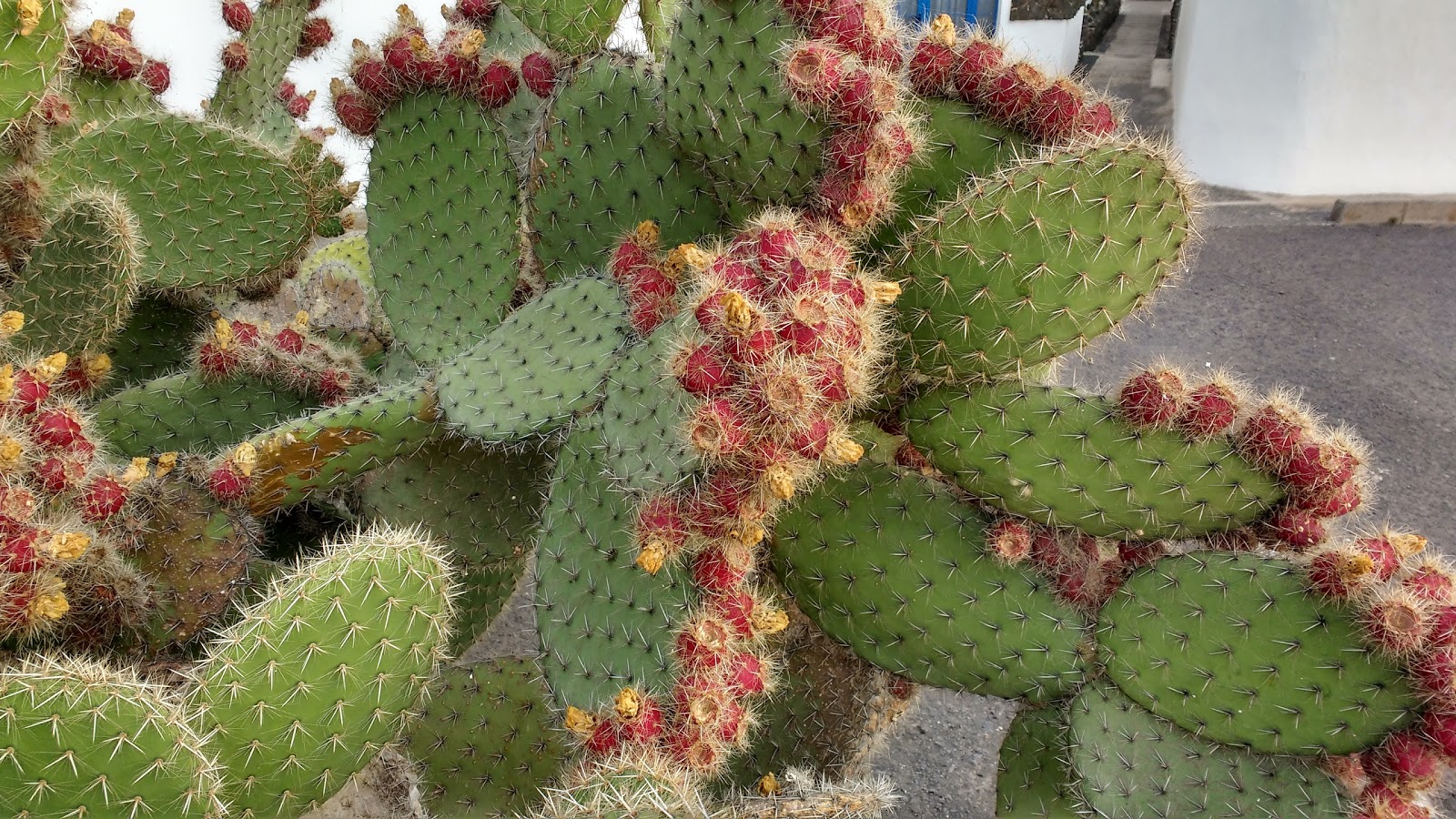 lanzarote/IMG_20170918_190648219_HDR.jpg